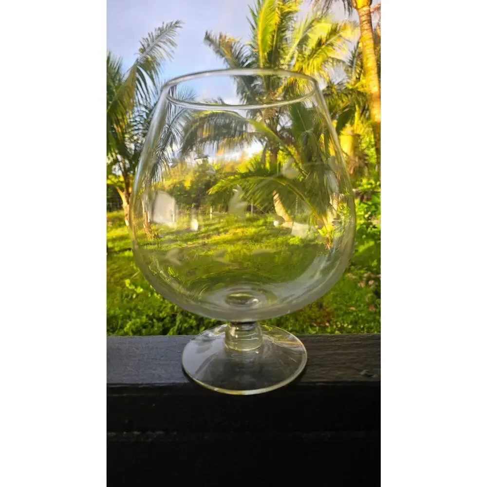 Vintage Princess House Large Snifter Glass Etched Leaf Vine Pattern Decorative